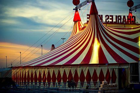 Silver Tongues and Other Sideshows