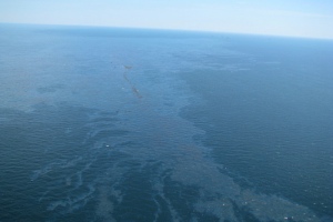 Gulf Oil Spill: Nine Consequences