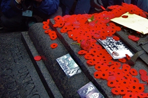 VE-Day: Remembering Canada's Role 