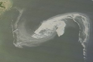 What the Gulf Oil Disaster Tells Us