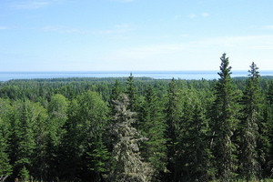 Protecting Canada's Boreal Forest