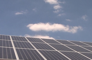 A Green Venture Capitalist's Call To Action