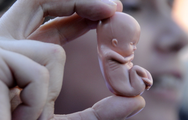 The Facts On Abortion