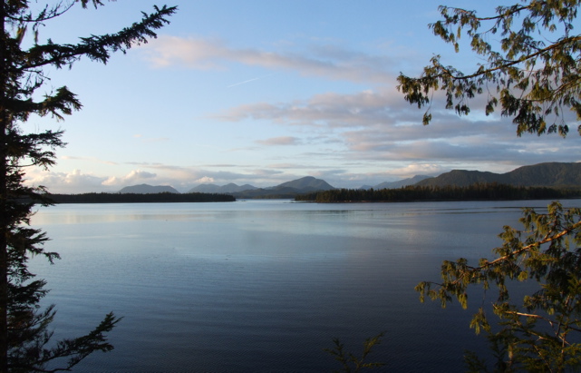 Connecting With Nature Via Technology
