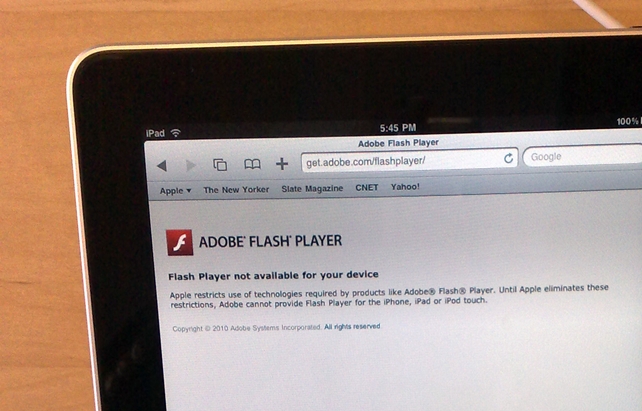 iPads don't support Flash.