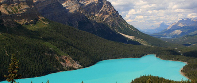 Peyto Lake in Banff National Park, Albert, Canada