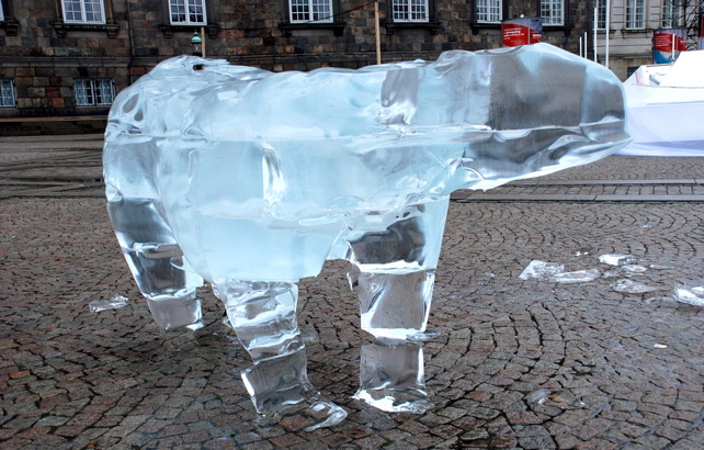 Melting Polar Bear