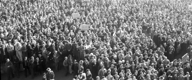 Crowd