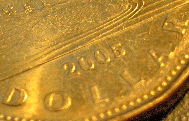 Pretty gold loonie