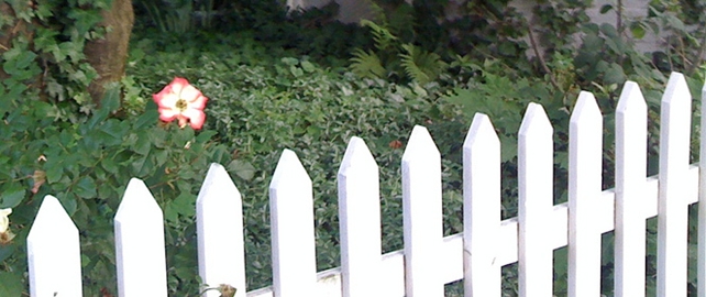 White Picket Fence