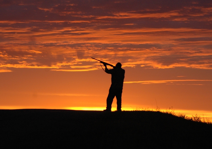 Tearing Down the Long-Gun Registry