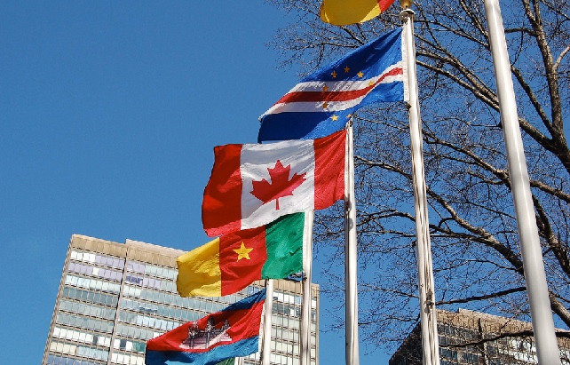 UN flags
