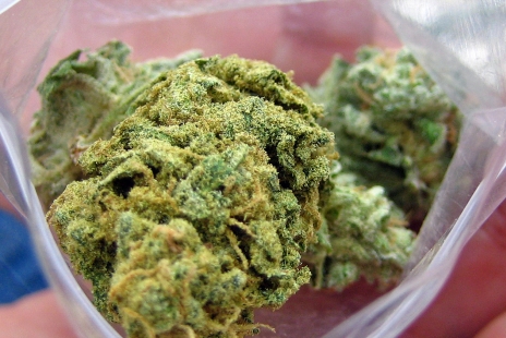 Decriminalize Marijuana Possession