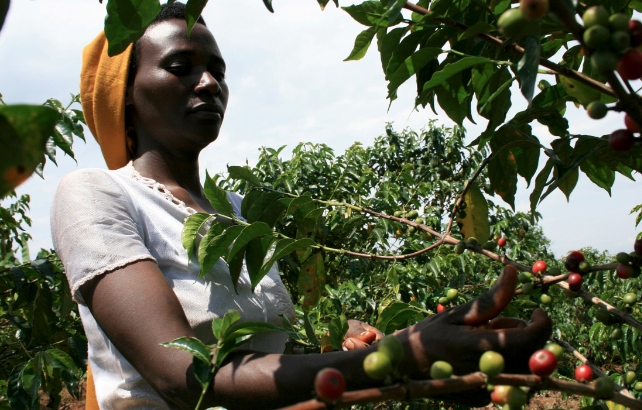 Rwanda