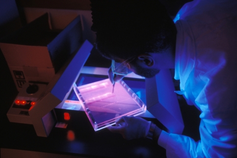 A Global Approach to Biotech 