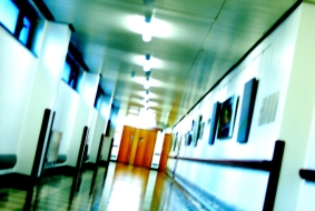 Why Euthanasia is Bad for Doctors