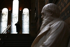 Why Evolution Matters