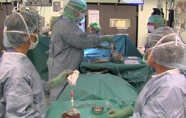 organ transplant