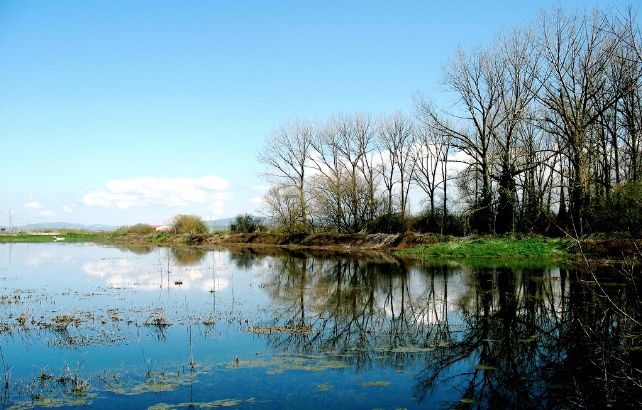 natural capital