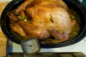 What to do with Leftover Turkey?