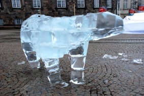 Failure in Copenhagen 