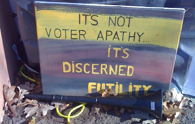 youth vote