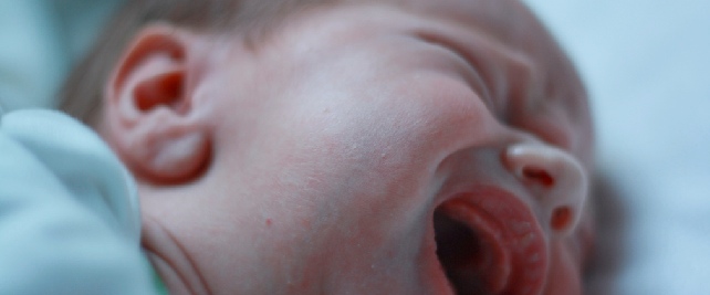 Every year, roughly 25 percent of newborns are born with colic – a condition that is diagnosed when a baby cries for more than three hours per day.