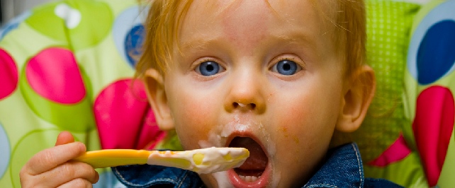 Weaning is one of the most important milestones for moms and dads during the early months of parenthood. The choices you make for your baby during that time will establish his or her eating habits for life.