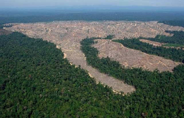 Environmentalism has Failed