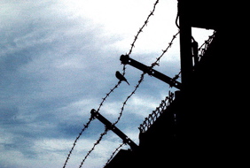 Khadr's Fate