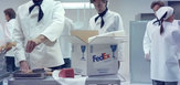 Breel_fedex_lg