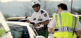 Vena_police