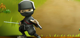 Dc_ninjas