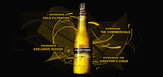 Badassembly_mgd