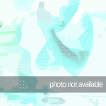 photo not available