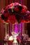 Anais-events-ali_sara7