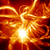 Phoeav_thumb