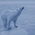 Patronus_thumb