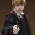 Harry_pics_thumb