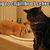 B46998724806a7707d9149dfbb70fc5f_177112_thumb