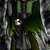 116336_thumb