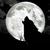 991793_howl_thumb