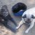Hikerpugs1_thumb