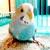 Budgie_thumb