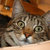 Annie_in_the_sink_normal_thumb