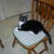 Dscn0194_thumb