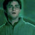Harry_-_the_forest_again_thumb