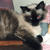 Ishka_thumb