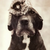 Kitten___dog_thumb