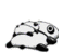 Panda_bounce_thumb